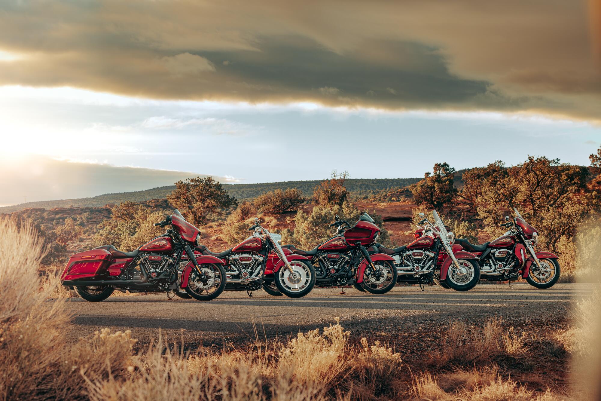 Harley-Davidson Announces 120th Anniversary Model Lineup